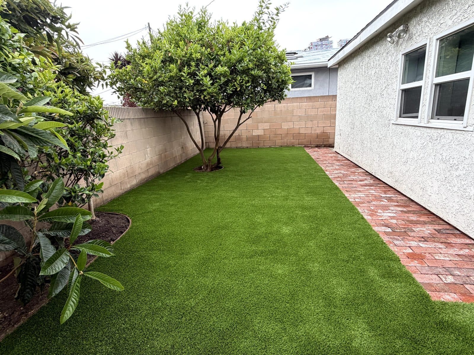 Richard vouches for Always Green Synthetic Grass — photo 6 of 6