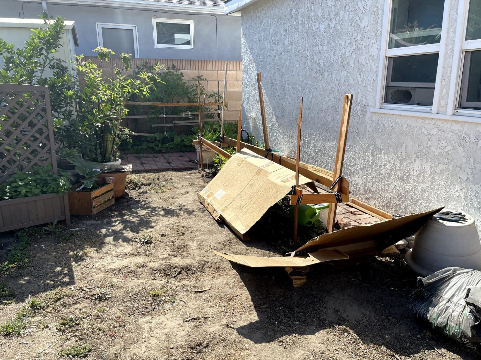 Richard vouches for Always Green Synthetic Grass — photo 5 of 6