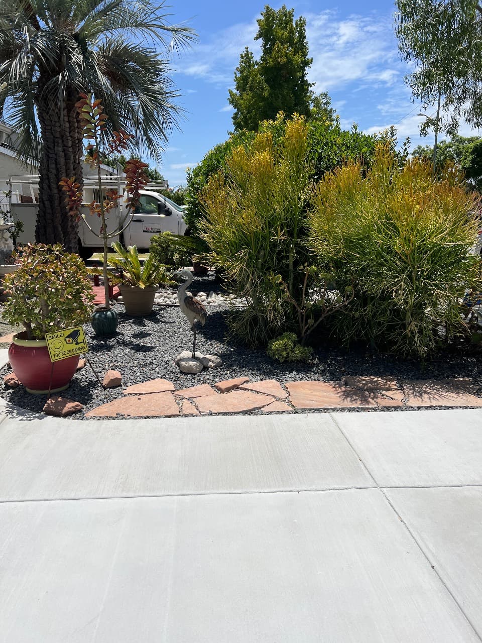 A neighbor vouches for Phil’s Arbor Care — photo 1 of 3