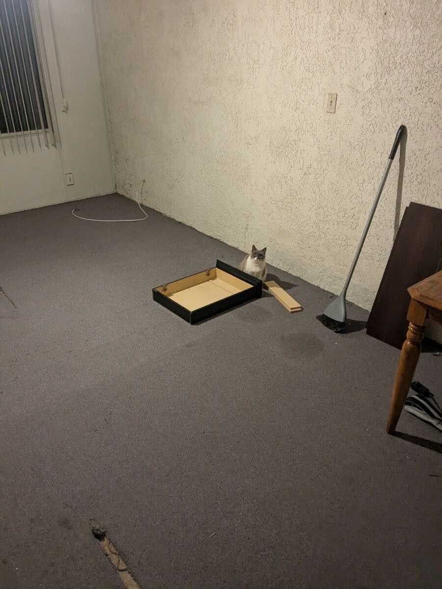 A neighbor vouches for Mikes Floors — before