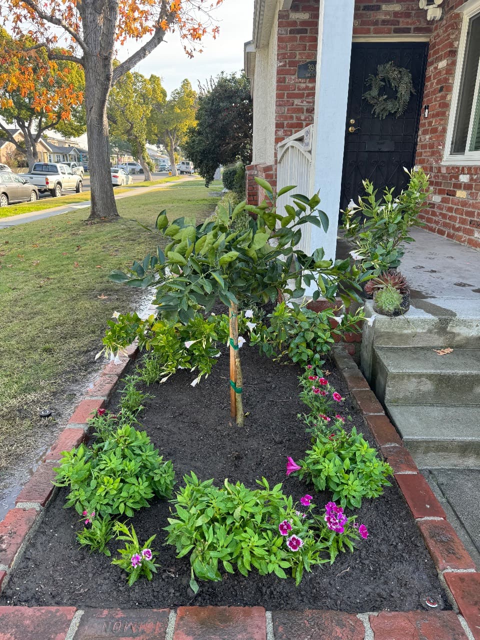 Richard vouches for Dreamscapes Landscaping — photo 1 of 2
