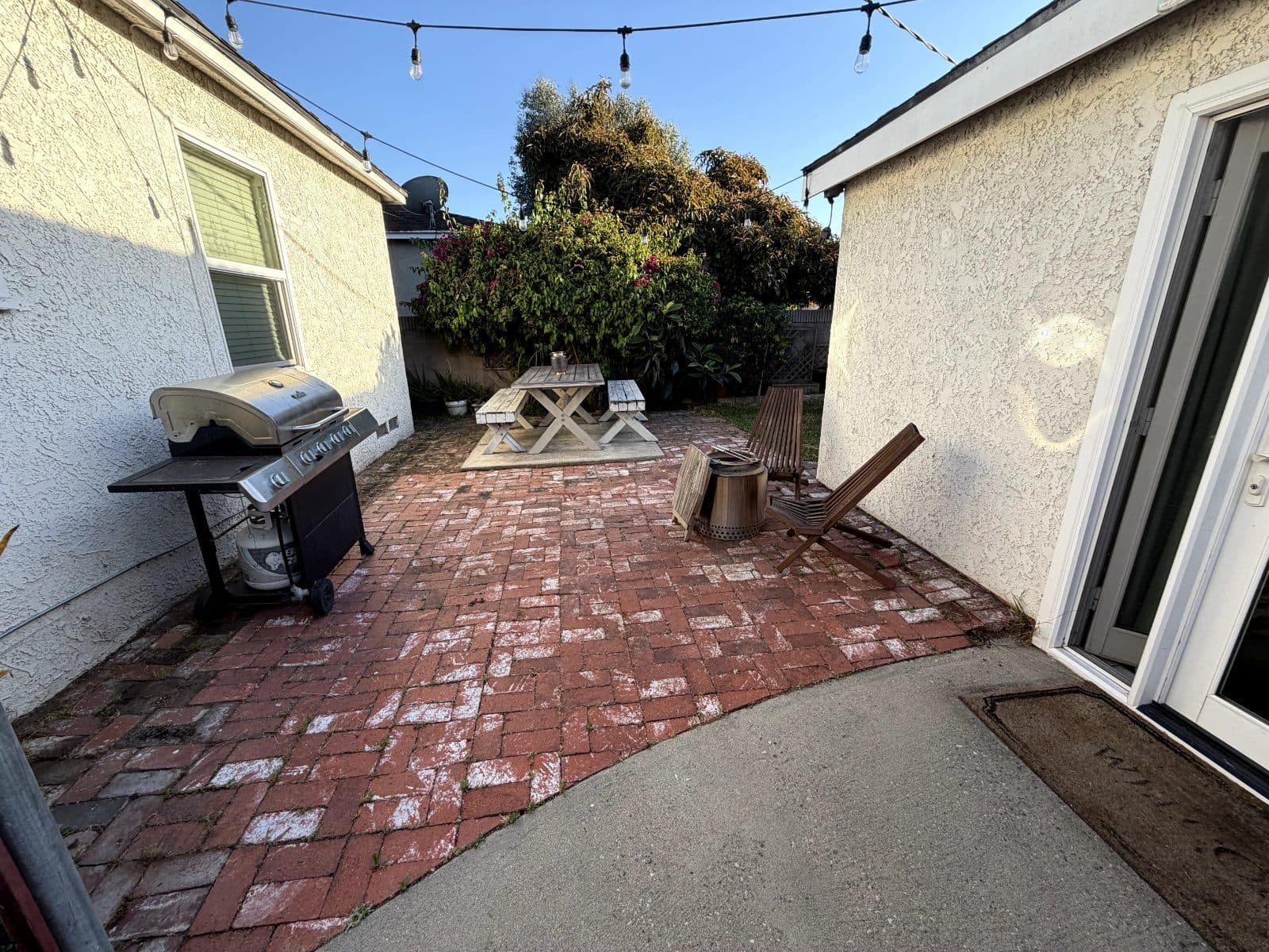 Richard vouches for Always Green Synthetic Grass — photo 4 of 6