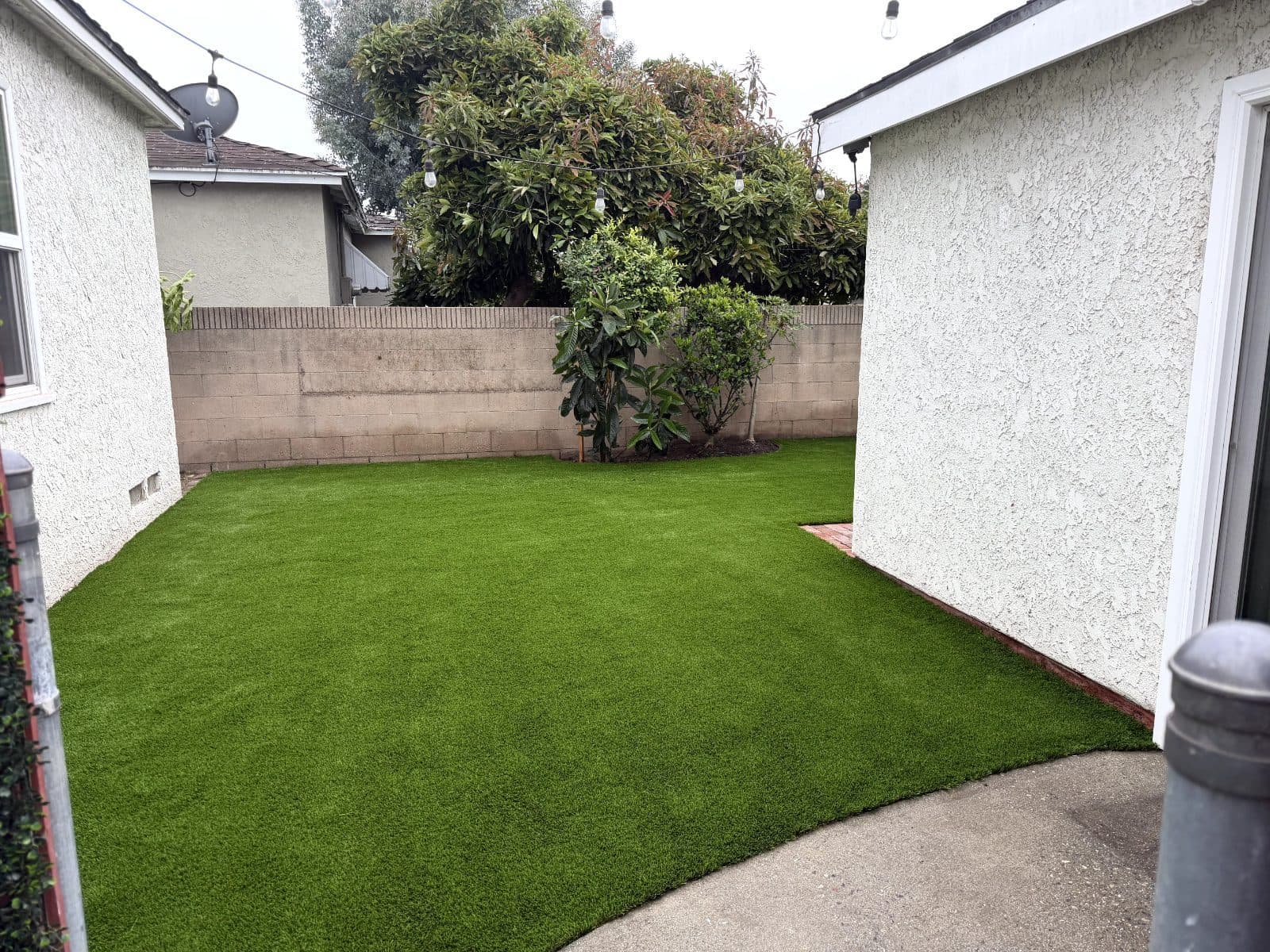 Richard vouches for Always Green Synthetic Grass — photo 6 of 6