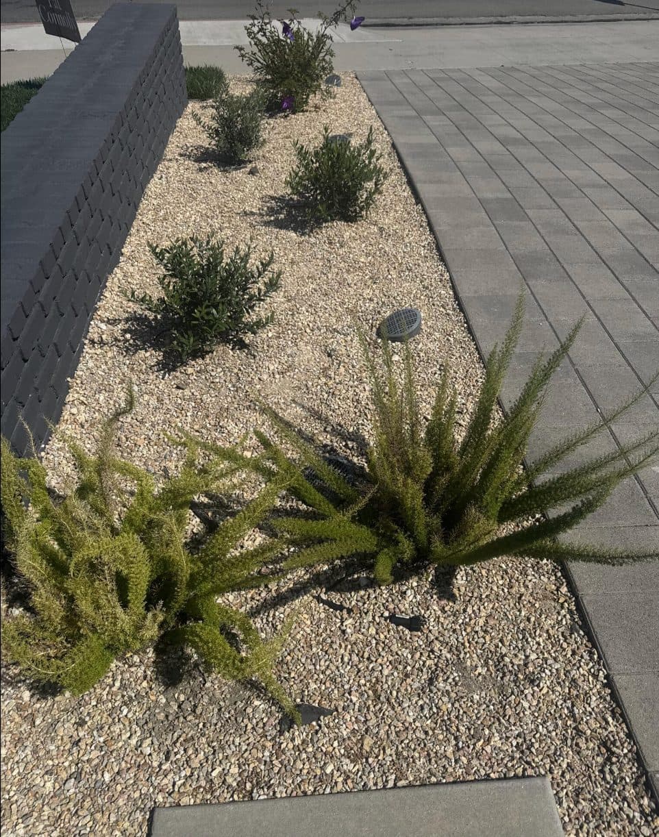 Leslie vouches for DC Landscape Construction — photo 6 of 8