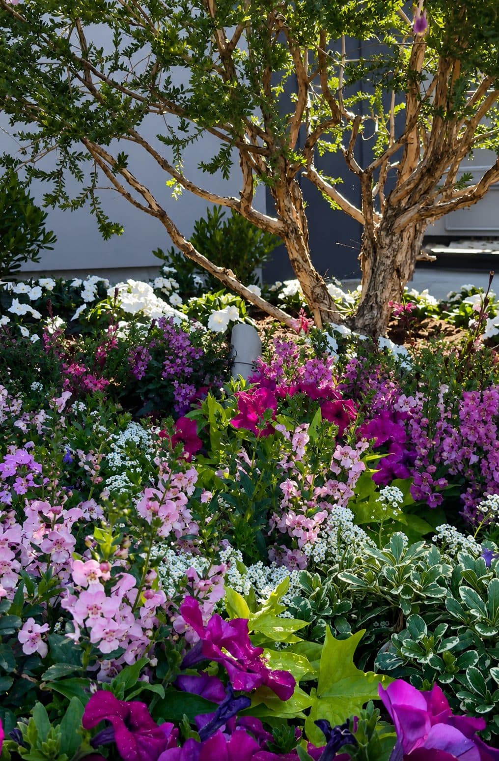 Landscaping project by DC Landscape Construction — University Park Estates
